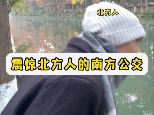 عند النظر إلى جميع أنحاء البلاد، فإن ركوب الحافلة بهذه الطريقة أمر مذهل حقًا!