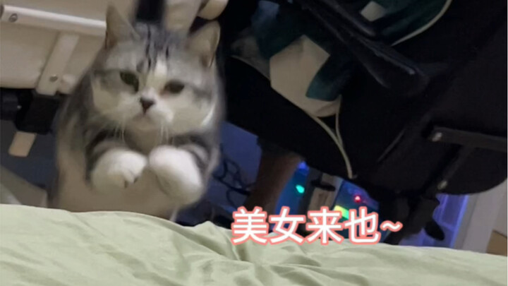 ตอนแรก น้องแมวก็คิดว่ามันเป็นแค่เสียงเรียกธรรมดาเท่านั้น~