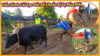 Tái Hiện Hình Ảnh Làm Đồng Của Việt Nam Nhiều Năm Về Trước - Một Buổi Cải Tạo Đất Cùng Người Dân