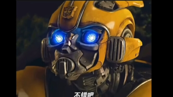 “The Evil Machine Homo Sapiens”