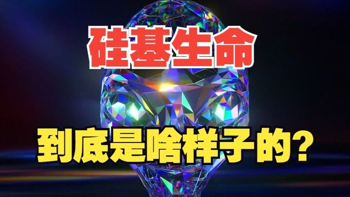 如果外星人是硅基生命会怎么样？