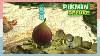 Pikmin Dragging A Fig Back To Spaceship Base | Pikmin 3 Deluxe