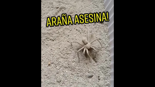 นอนดีกว่า