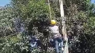 boom boom paw