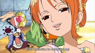 zoro : apa kau idiot??