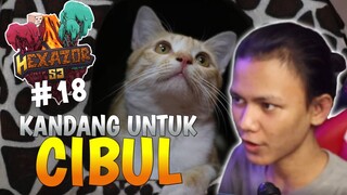 KANDANG UNTUK CIBUL KUCINGKU 😺 Hexazor SMP S3#18