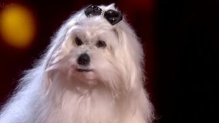 หมาพูดได้ 2