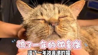 ฉันเป็นน้ำมูกไหลมาเป็นเวลาหนึ่งปีแล้ว และปรากฎว่านี่คือสาเหตุ