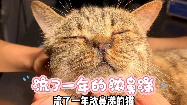 I've had a runny nose for a year, and it turns out this is the culprit.