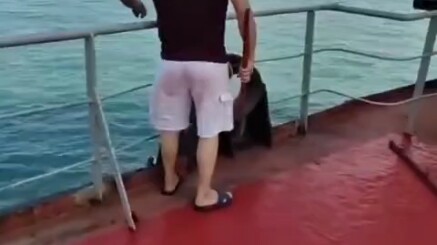 เรือเดินทะเลพบกับพ่อค้าขายผัก? ควรทำอย่างไร? -