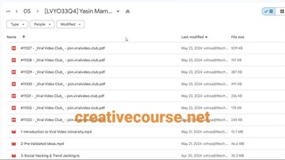 Viral Video Course by Yasin Mammeri