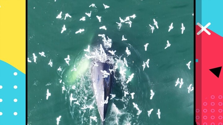 เกาะที่ใหญ่ที่สุดในโลก "เกาะกรีนแลนด์"!