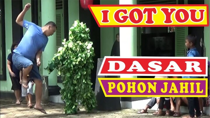 NAUGHTY BUSHMAN | PRANK MANUSIA POHON