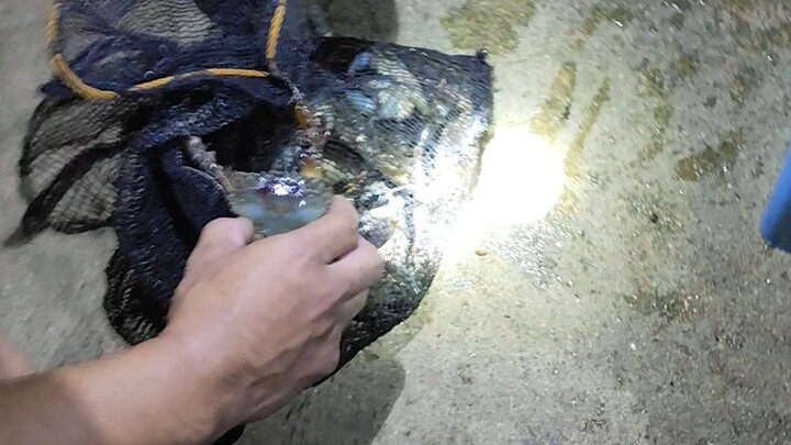Night Fishing