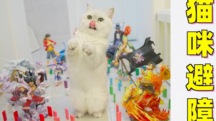So ruthless! Using ultra-expensive figurines to test cats’ obstacle‑avoidance skills—I’m jealous!