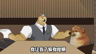 我们公司就需要你这样的人才