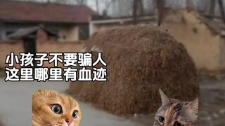 Faxiao: Ngươi thực sự không phải là con người.