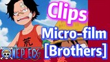 [ONE PIECE]   Clips |  Micro-film  [Brothers]