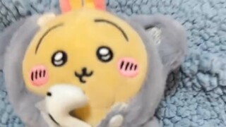 ที่รัก อุซาฉี ถ้าคุณร้องเพลงแบบนี้ แม่ของคุณจะยกย่องคุณจริงๆ