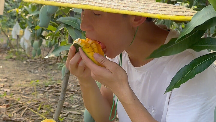 Chắc không còn ai chỉ ăn vỏ vàng của xoài chứ?