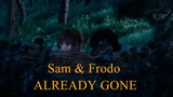 Sam & Frodo - Already Gone
