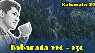 The Pinnacle of Life / Kabanata 226 - 230