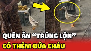 Quên ăn TRỨNG VỊT LỘN bà ngoại có thêm đứa cháu LẮM LÔNG 😂 | Yêu Lu