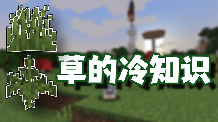 Minecraft Trivia: Huh? No, it’s grass trivia!