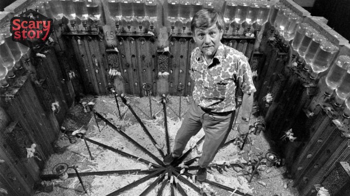 Eksperimen Universe 25: Ketika Surga Tikus Menjadi Neraka