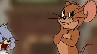 أنا محبوس بين القط والفأر
