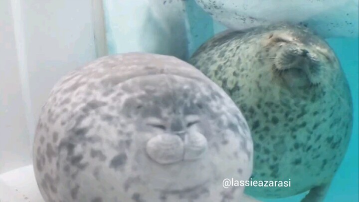 الأخت يوكي نفسها تُظهر الابتسامة الصحيحة والمشرقة