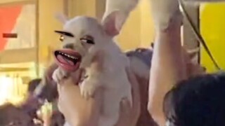 Don't do this, okay? I'm embarrassed.