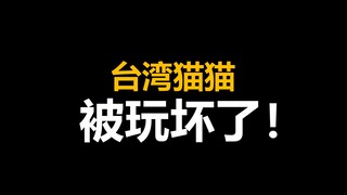 完了，猫猫被玩坏啦