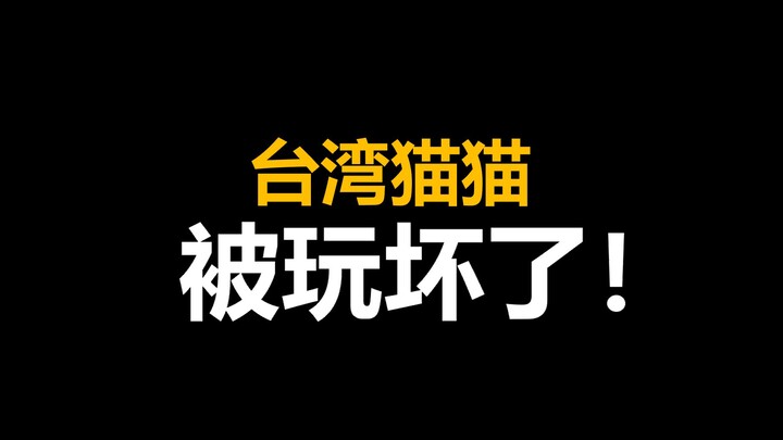完了，猫猫被玩坏啦