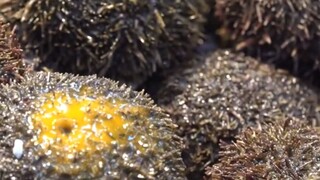 Món ngon đường phố 🤗😋 #monngonmoingay