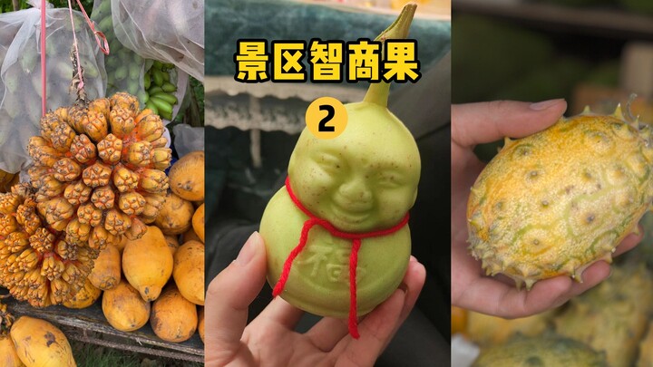 [Fruit Hunter x Hunter] Seri kedua dari tempat wisata buah IQ, jangan jadi orang bodoh setelah menon
