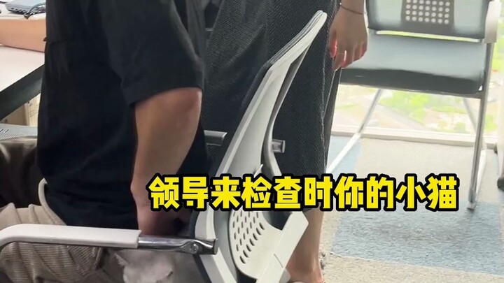 猫：你看不见我！看不见我