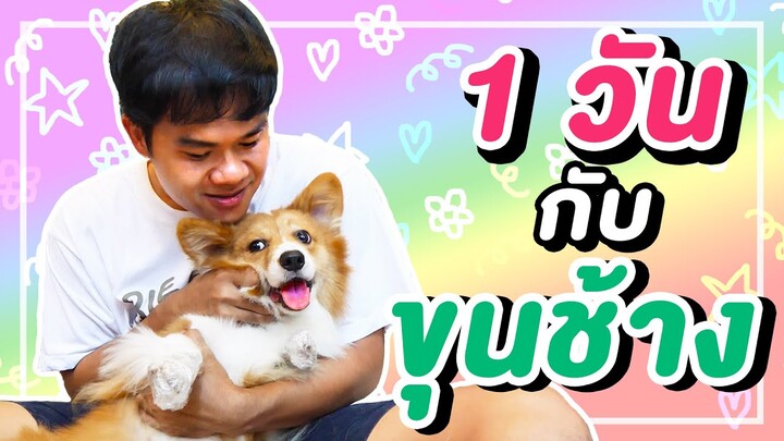 ขุนช้างกลับมาแล้ว!! พี่บี้เล่นกับขุนช้าง 1 วัน