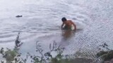 Alligator Chases Swimmer, Bites His Arm In Horrifying Footage