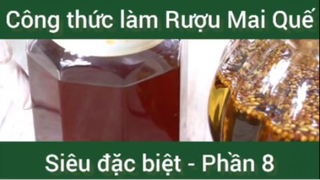 Công thức làm Rượu Mai Quế siêu đặc biệt phần 8