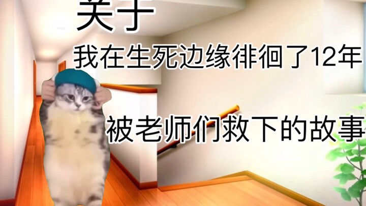 [猫meme]关于我的前十八年人生以及被老师们拯救的一年