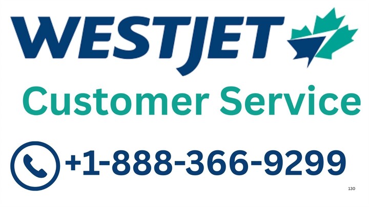 Kiwi™® Customer Service | Step-by-Step Guide to Live Chat, Calls & Email Help