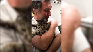 A man reunited with his beloved cat who had been missing for 7 years. Now the cat is 19 years old an