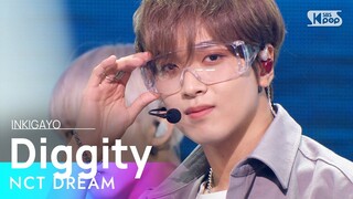 NCT DREAM(엔시티 드림) - Diggity @인기가요 inkigayo 20210704