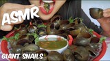 ASMR Giant SNAILS ESCARGOT (EXOTIC FOOD EATING SOUNDS) No Talking | SAS-ASMR