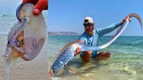 Catching Seafood 🦀🐙 ASMR Relaxing (Catch Shark , Catch Fish ,Deep Sea Monster ) #493