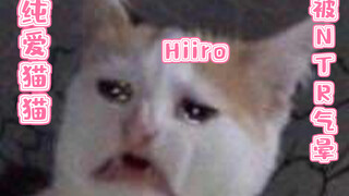 【Hiiro切片】纯爱猫猫被绿小白龙的坏女人气晕，高喊咬她！