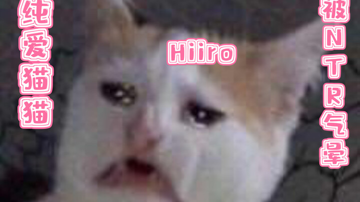 【Hiiro切片】纯爱猫猫被绿小白龙的坏女人气晕，高喊咬她！