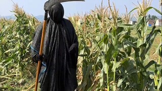 الحكمة العظيمة للشعب الكادح: طالما أن العقل لا يتقاعس، فإن الحلول تفوق الصعوبات دائمًا!