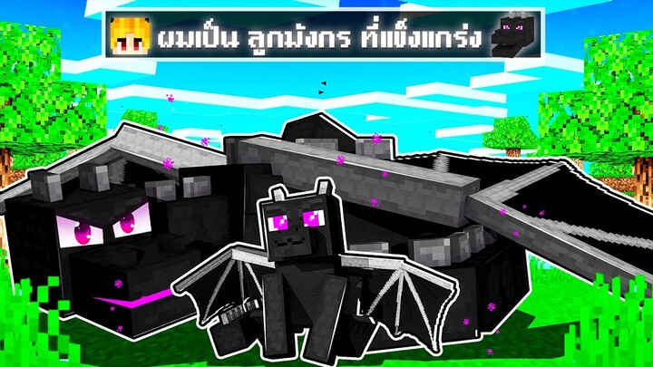 จะเกิดอะไรขึ้น!! ผม.. เกิดเป็นลูกมังกร ที่แข็งแกร่ง ใน Minecraft!